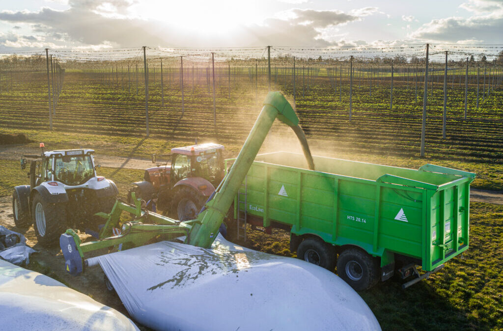 Grain storage in bags